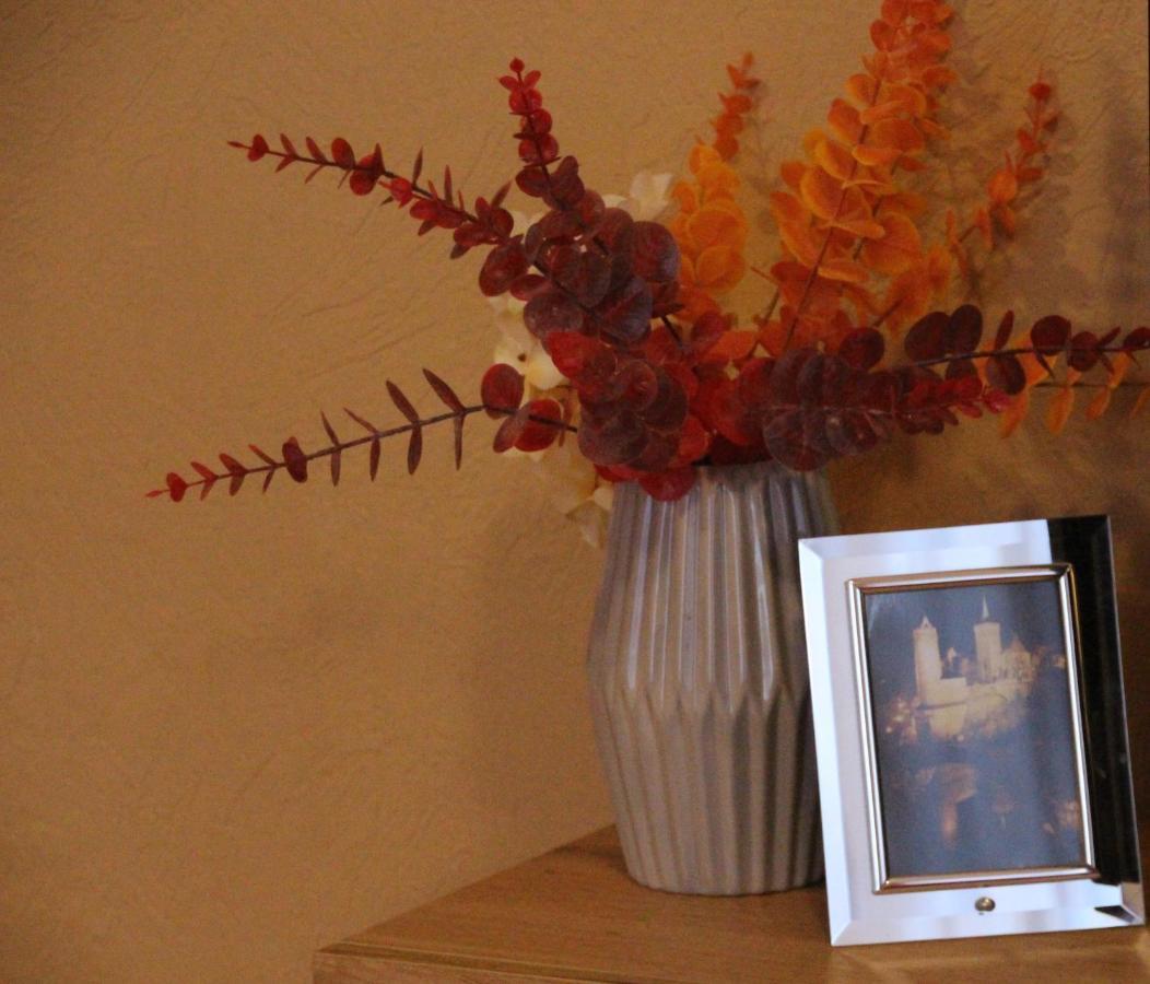 Ferienwohnung Felicitas Wilthen Exteriör bild